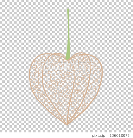 網ほおずき 136018075