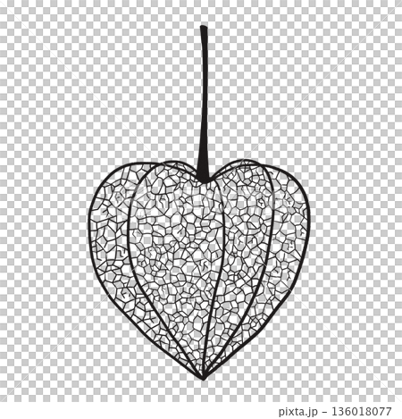 網ほおずき 136018077