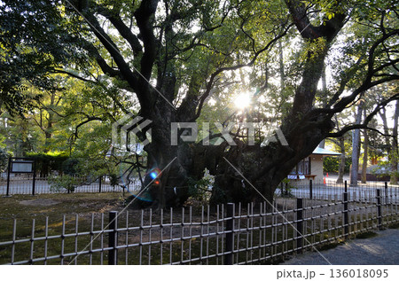 静岡県浜松市中央区八幡町のパワースポット 浜松八幡宮 136018095