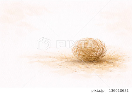 枯草シリーズ:光の中に浮かぶ枯れ草の塊 枯草シリーズ:光の中に浮かぶ枯れ草の塊 136018681