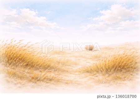 枯草シリーズ：澄んだ空と枯れ草が広がる荒野 136018700
