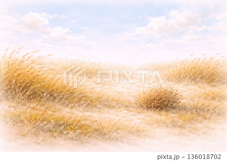 枯草シリーズ：風に揺れる冬の草原のパノラマ背景 136018702
