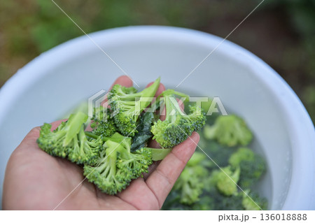 fresh cleaning broccoli for making food in bowl 136018888