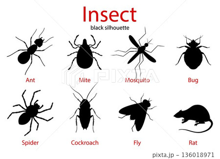 Pest Control insect black silhouette set, insect icons isolated on white, flat style 136018971