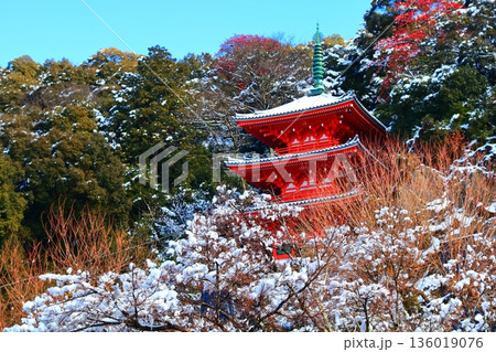 岐阜公園・雪が被る三重塔 岐阜公園・雪が被る三重塔 136019076