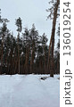 Natural Landscape 136019254
