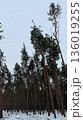 Natural Landscape 136019255