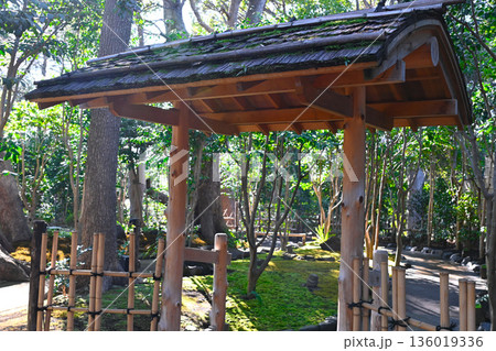 椿山荘の景色 136019336