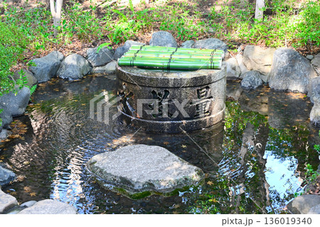 椿山荘の景色 136019340