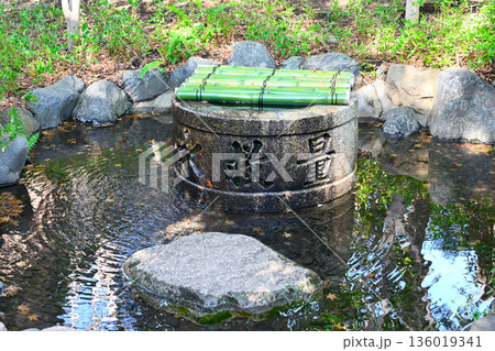 椿山荘の景色 136019341