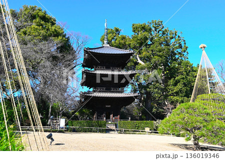 椿山荘の景色 136019346