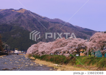 智頭川(鳥取県八頭郡智頭町)川べりに咲く桜の花 智頭川(鳥取県八頭郡智頭町)川べりに咲く桜の花 136019369