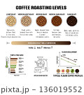 Coffee Roasting Levels Infographic with Flavor Profile Graphs 136019552