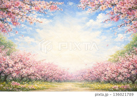 桜　青空　満開　春　油彩画 136021789