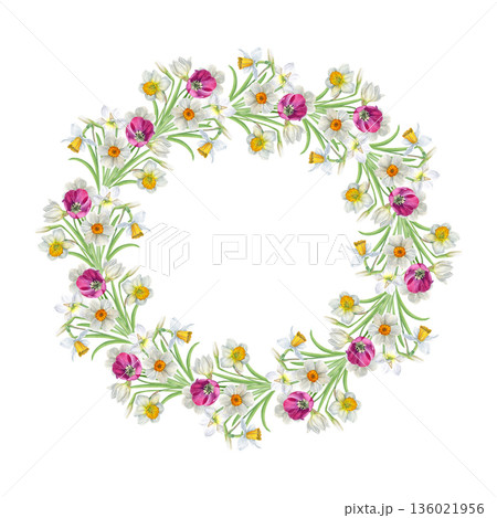 Watercolor floral wreath of white daffodils and pink tulips on a white background, hand-painted botanical style, perfect for invitations, greeting cards, spring decor and wedding design 136021956