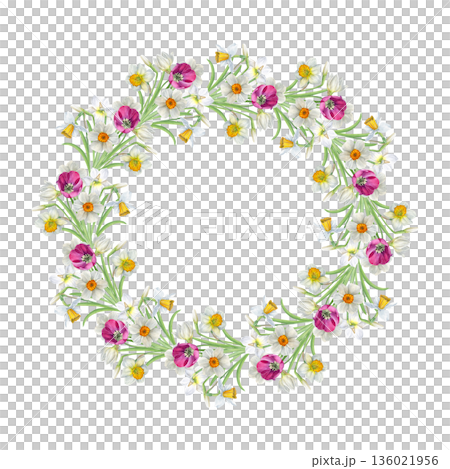 Watercolor floral wreath of white daffodils and pink tulips on a white background, hand-painted botanical style, perfect for invitations, greeting cards, spring decor and wedding design 136021956
