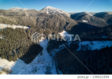 Aerial view of breathtaking winter landscape with snow-covered fields and dense pine forests. Small village nestled among trees, while distant mountains stand majestically under clear blue sky. 136022899