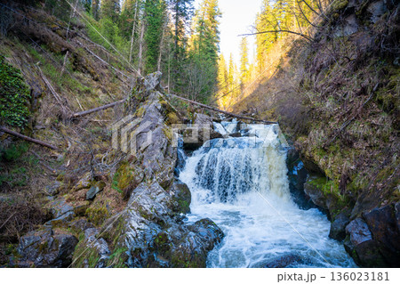 Tretya Rechka or The third river waterfall near Artybash town. Majestic cascade in pristine Altai nature Russia Tretya Rechka or The third river waterfall near Artybash town. Majestic cascade in pristine Altai nature Russia 136023181