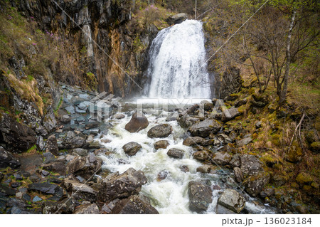 Korbu waterfall near Teletskoye lake in Altai Russia. Powerful stream of water falling from cliff surrounded by wild forest Korbu waterfall near Teletskoye lake in Altai Russia. Powerful stream of water falling from cliff surrounded by wild forest 136023184