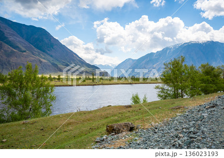 Chulyshman river flowing near Kyrsai bay at southern end of Teletskoye lake in Altai Russia Mountain watercourse in remote natural valley 136023193