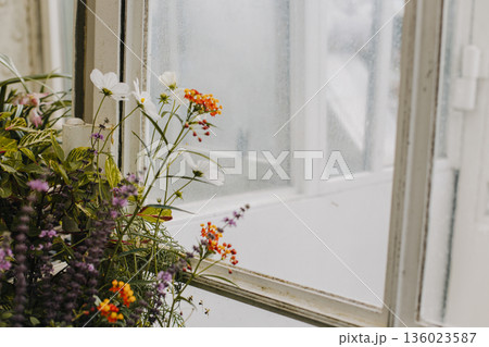 Amazing flowers and plants near the window in a greenhouse, Vienna, Austria. Amazing flowers and plants near the window in a greenhouse, Vienna, Austria. 136023587