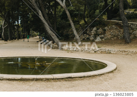 Amazing view of the old park in Dubrovnik, Croatia. Travel destination in Croatia. 136023805