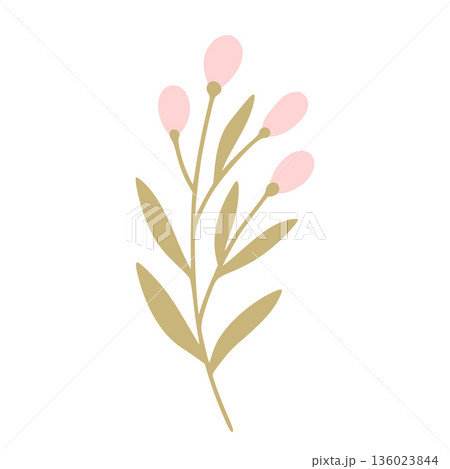 Pink berries branch representing festive season decoration 136023844