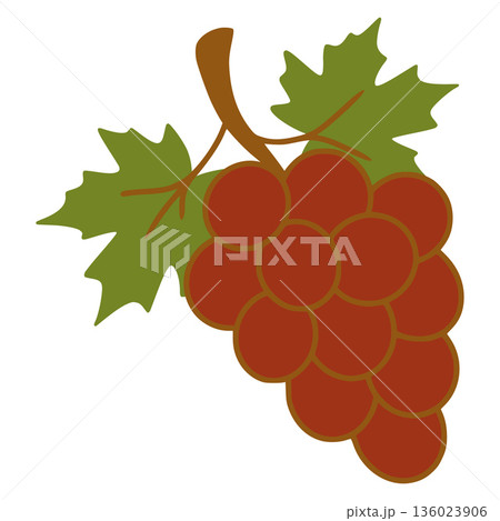 Red grapes cluster with leaves illustration 136023906