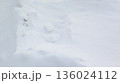 雪の起伏が見える冬の雪原背景 136024112