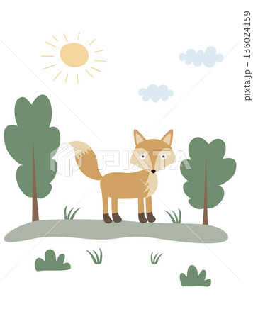 Cute fox standing in the forest enjoying sunny day Cute fox standing in the forest enjoying sunny day 136024159