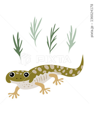Cute green lizard crawling with plants in background 136024178