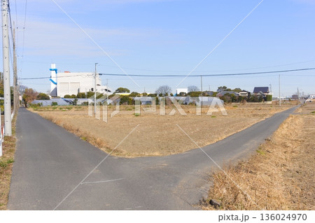 千葉県松戸市主水新田の風景2026年1月 千葉県松戸市主水新田の風景2026年1月 136024970