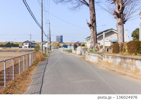 千葉県松戸市新松戸江戸川河川敷グラウンド入口周辺2026年1月 千葉県松戸市新松戸江戸川河川敷グラウンド入口周辺2026年1月 136024976