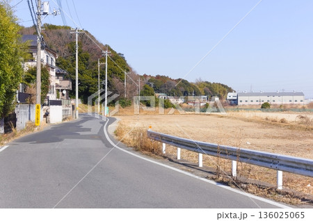 千葉県柏市手賀沼周辺2026年1月 千葉県柏市手賀沼周辺2026年1月 136025065