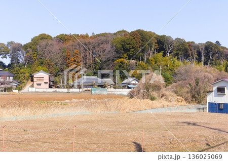 千葉県柏市増尾城址公園周辺2026年1月 136025069