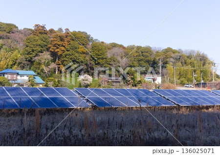 千葉県柏市増尾城址公園周辺2026年1月 136025071