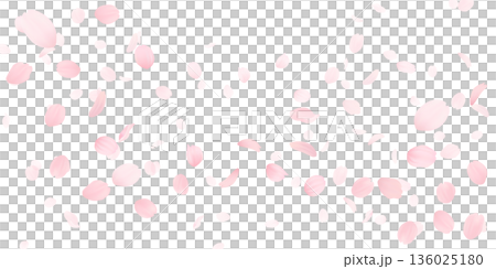 Background material of cherry blossoms with falling petals Background material of cherry blossoms with falling petals 136025180