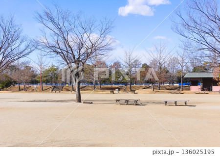 埼玉県越谷市しらこばと運動公園周辺2026年1月 136025195