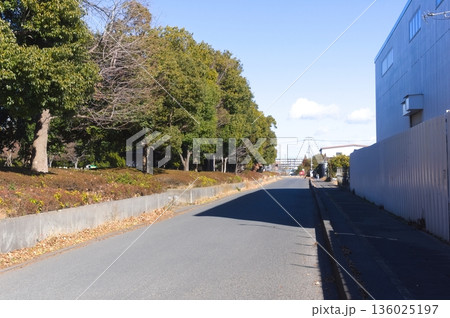 埼玉県越谷市しらこばと運動公園周辺2026年1月 136025197