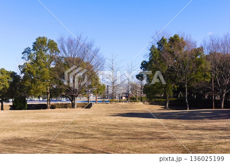 埼玉県越谷市しらこばと運動公園周辺2026年1月 136025199