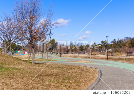 埼玉県越谷市しらこばと運動公園周辺2026年1月 埼玉県越谷市しらこばと運動公園周辺2026年1月 136025205