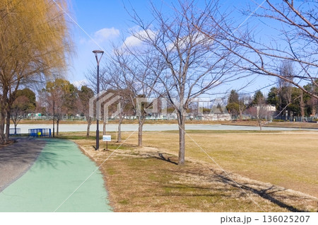 埼玉県越谷市しらこばと運動公園周辺2026年1月 埼玉県越谷市しらこばと運動公園周辺2026年1月 136025207