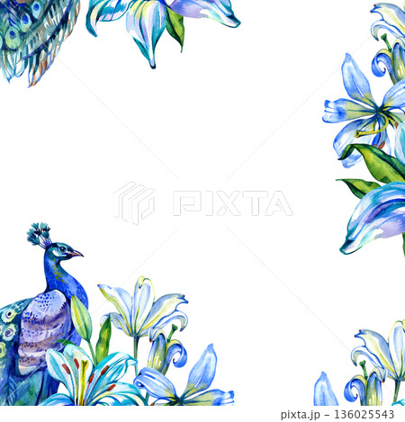 Artistic watercolor frame featuring a majestic peacock and vibrant blue lilies. Elegant botanical border design perfect for wedding invitations, stationary, and tropical-themed decor. Artistic watercolor frame featuring a majestic peacock and vibrant blue lilies. Elegant botanical border design perfect for wedding invitations, stationary, and tropical-themed decor. 136025543
