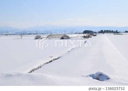 東北地方の雪景色 山形県庄内 136025732