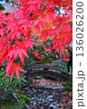 紅葉 136026200