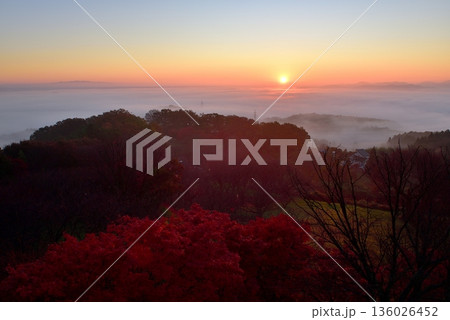 三王山展望台(タワー)からの常陸台地に広がる雲海 三王山展望台(タワー)からの常陸台地に広がる雲海 136026452
