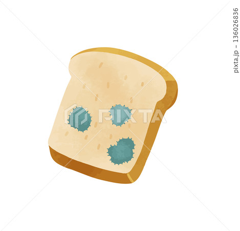 青カビが生えた食パン 水彩風ベクター手描きイラスト 青カビが生えた食パン 水彩風ベクター手描きイラスト 136026836