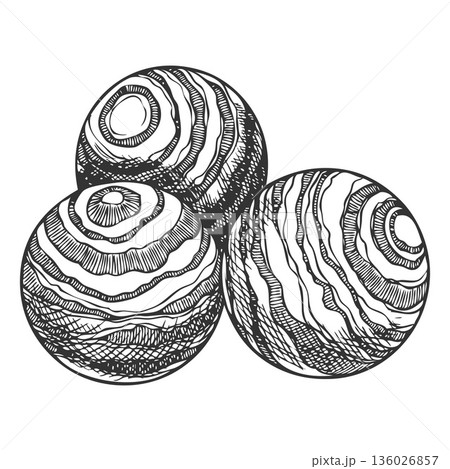 Sandalwood tree products vector sketch, hand drawn engraved fragrant wooden balls, organic herb perfumery cosmetics 136026857