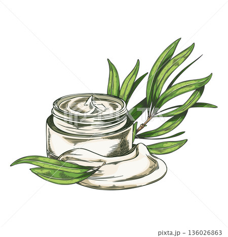 Body cream jar with green Melaleuca tea tree branches, hand-drawn watercolor illustration. 136026863