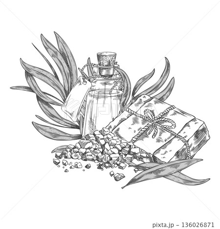 Tea tree leaves, soap and essential oil jug sketch, vector engraved hand drawn organic cosmetics and tea drink products Tea tree leaves, soap and essential oil jug sketch, vector engraved hand drawn organic cosmetics and tea drink products 136026871